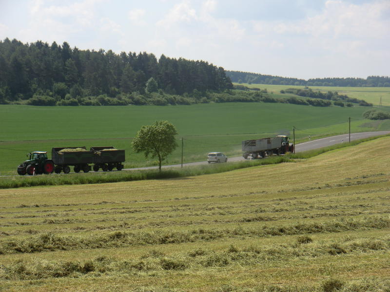 bilder/3_6_2014_3/CIMG2909.jpg