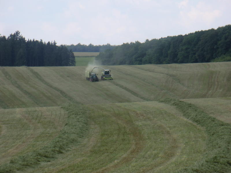bilder/3_6_2014_3/CIMG2910.jpg