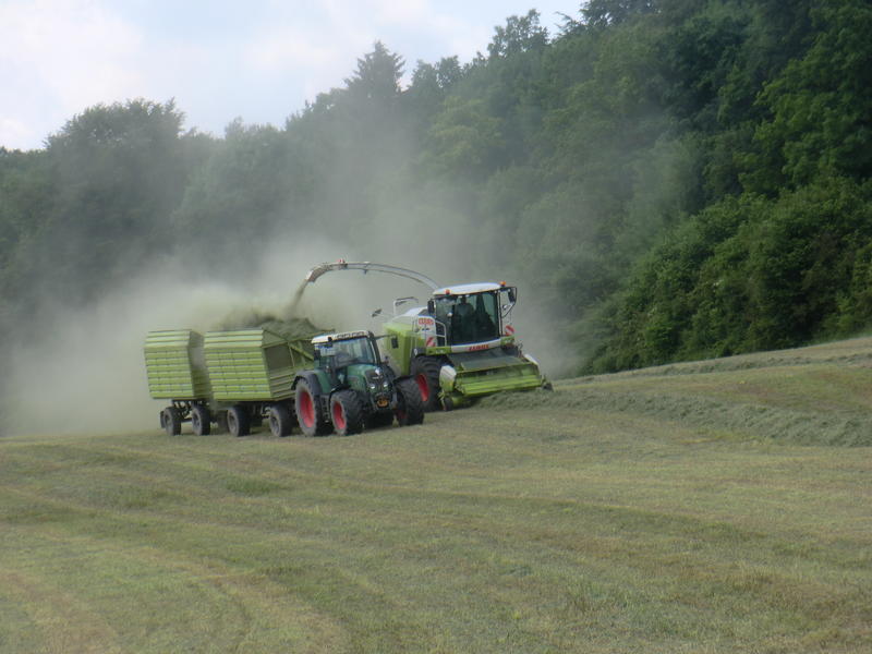 bilder/3_6_2014_3/CIMG2912.jpg