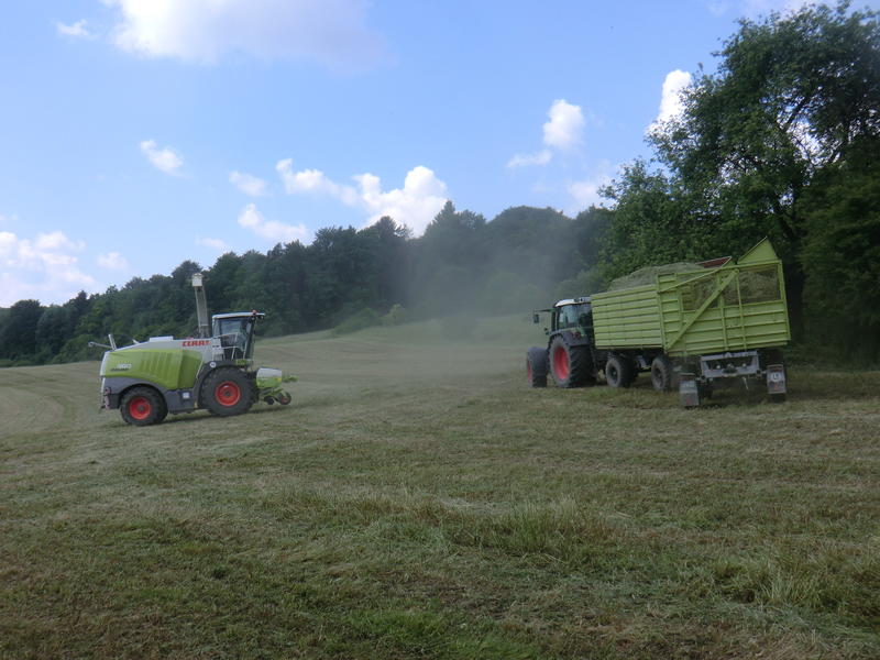 bilder/3_6_2014_3/CIMG2915.jpg