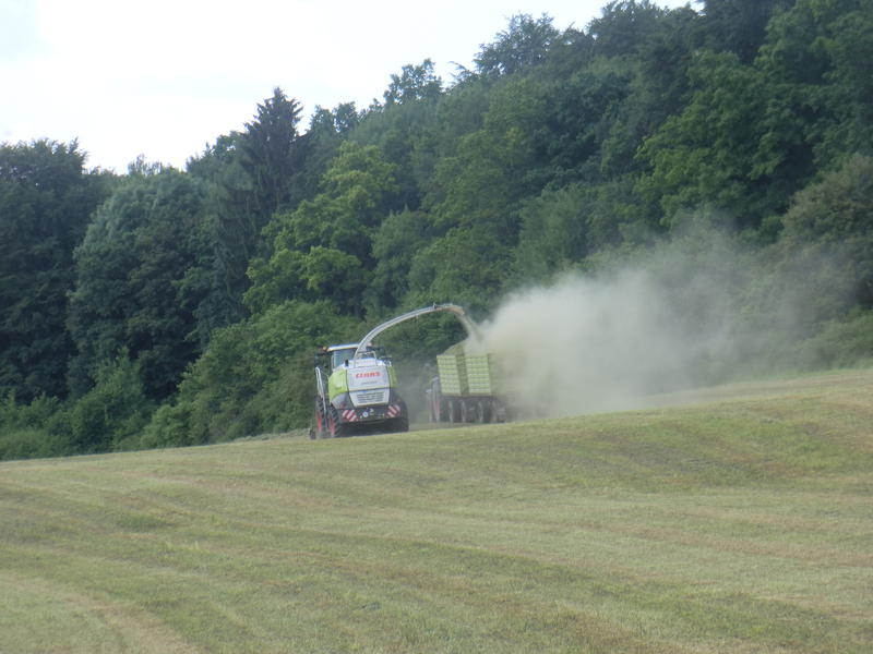 bilder/3_6_2014_3/CIMG2917.jpg