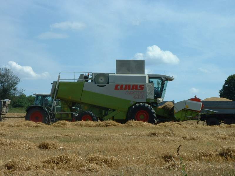 bilder/3_8_2002/lexion_+_fendt_514_+_w50.jpg