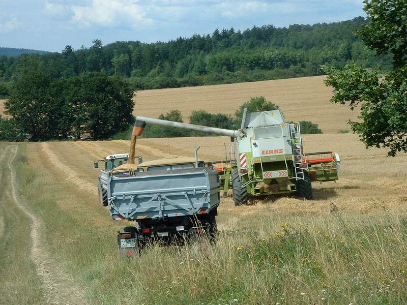 bilder/3_8_2002/lexion_+_fendt_716_+_w50.jpg