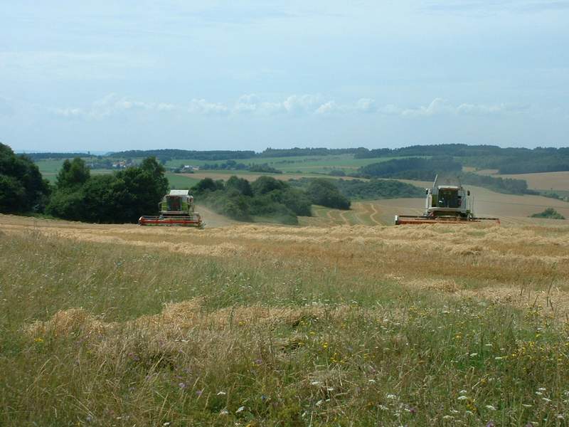 bilder/2_4_2003/terra_gator_+_tatra_2.jpg
