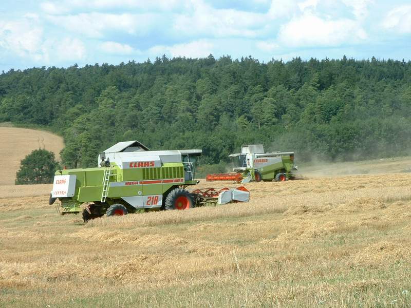 lexion_+_mega_2.jpg