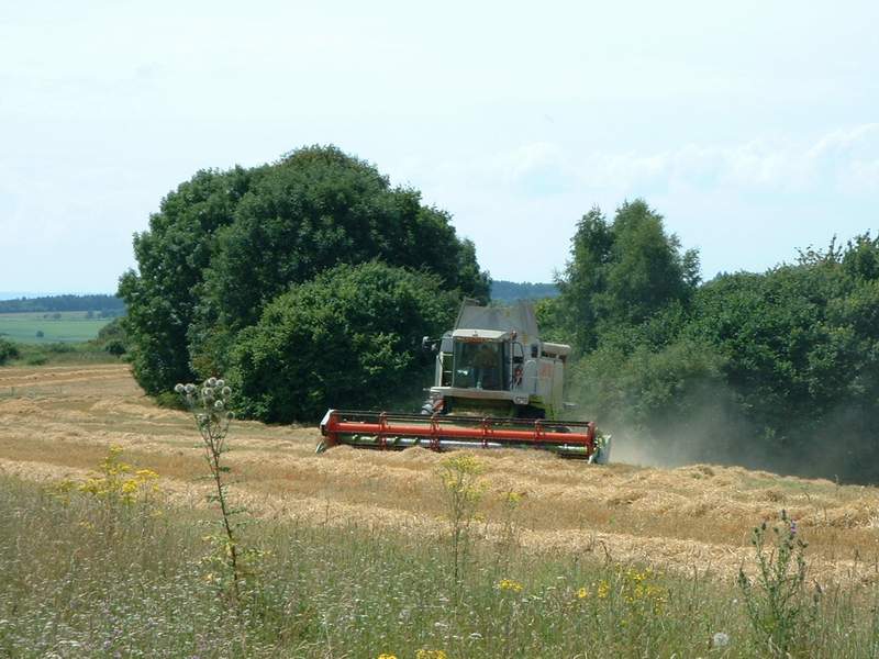 lexion_4.jpg