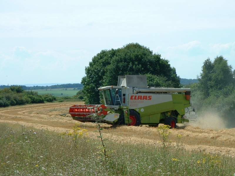 bilder/3_8_2002/lexion_5.jpg