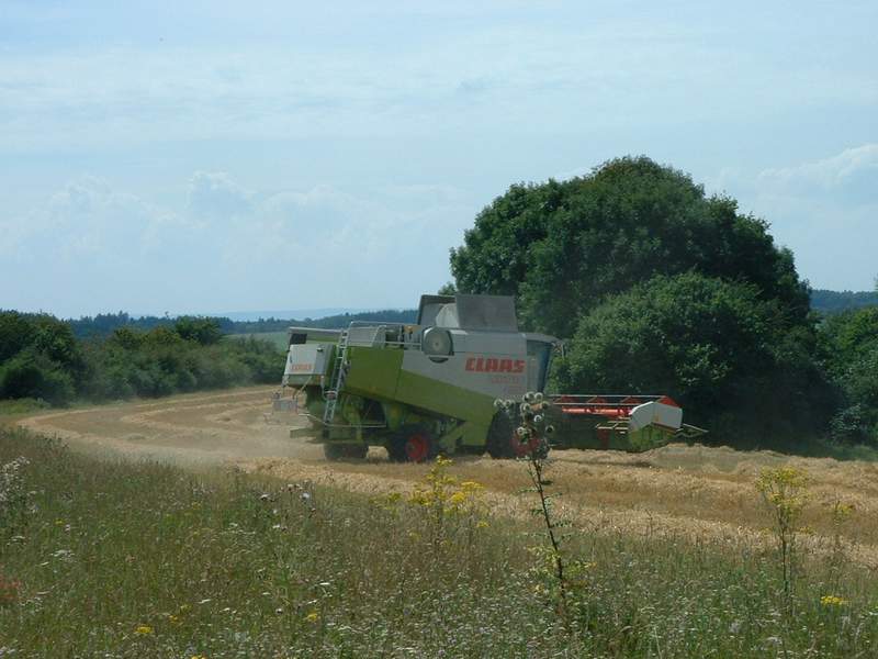 lexion_6.jpg