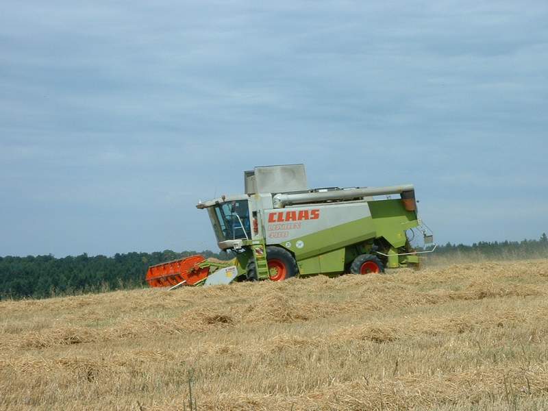 bilder/3_8_2002/lexion_7.jpg