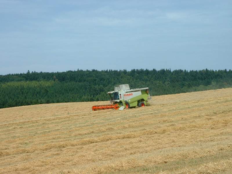 lexion_9.jpg