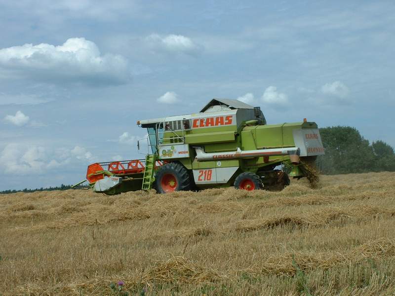bilder/3_8_2002/mega_14.jpg