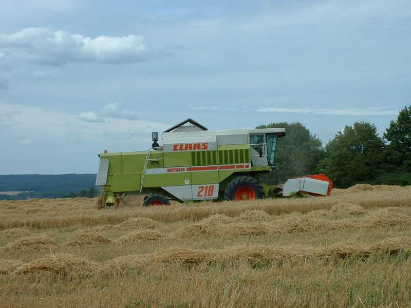 bilder/3_8_2002/mega_9.jpg