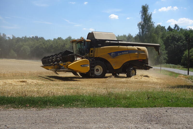 bilder/11_8_2013_3/CIMG9065.jpg