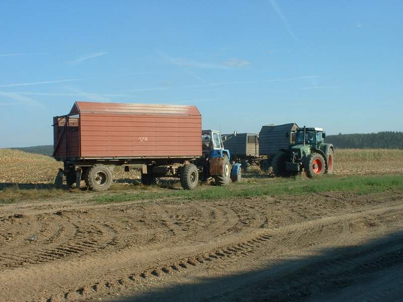 fendt_zt_303.jpg