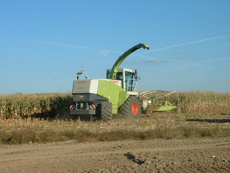 bilder/15_7_2011/CIMG3041.jpg