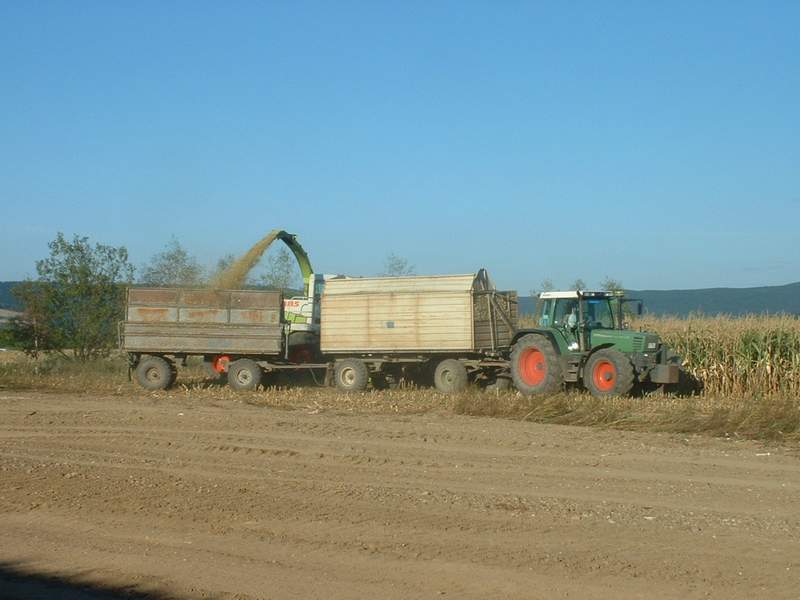 bilder/3_9_2003/jaguar_fendt_4.jpg