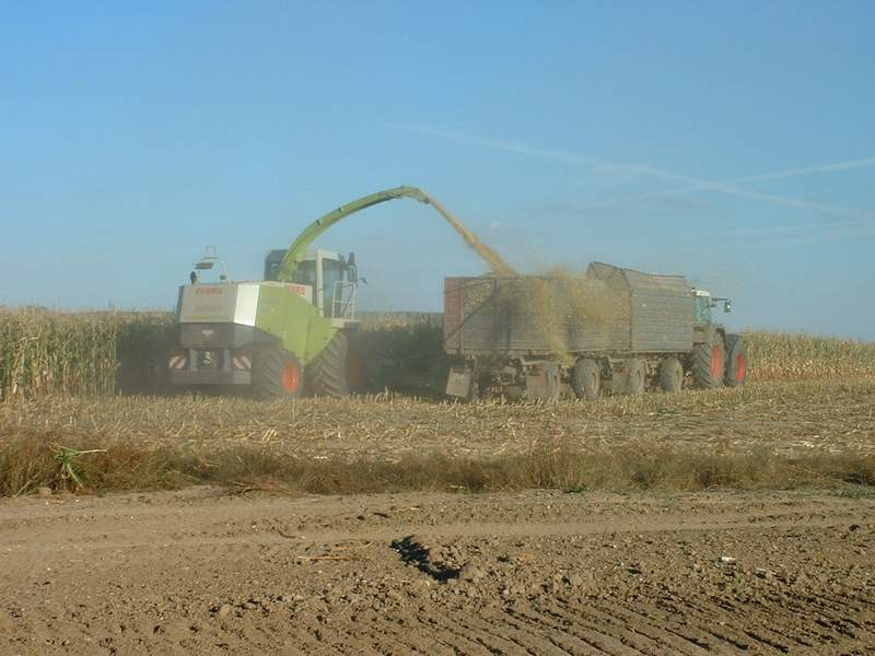 bilder/3_9_2003/jaguar_fendt_8.jpg