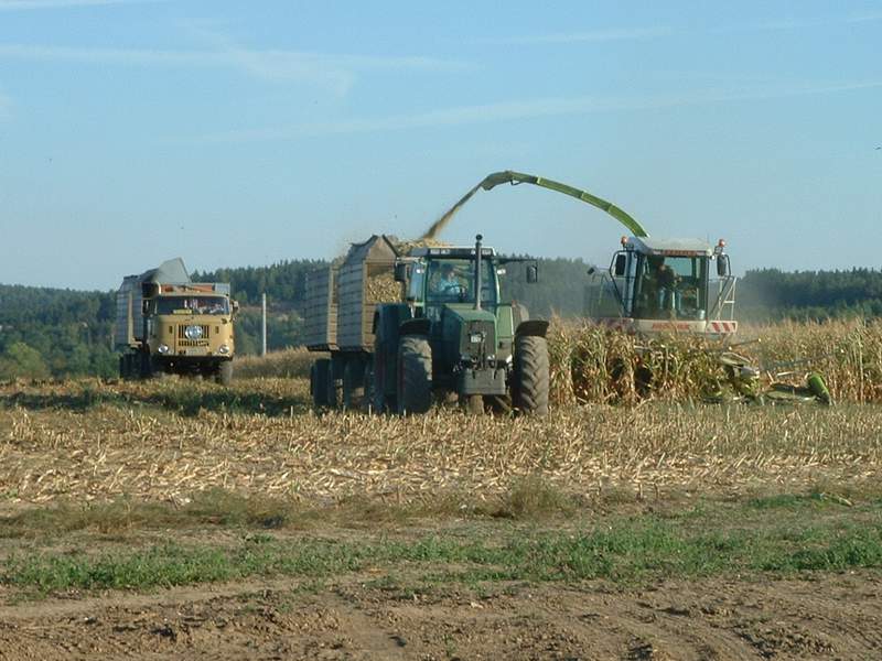 bilder/3_9_2003/jaguar_fendt_w50.jpg