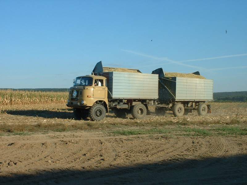 bilder/3_9_2003/w50.jpg