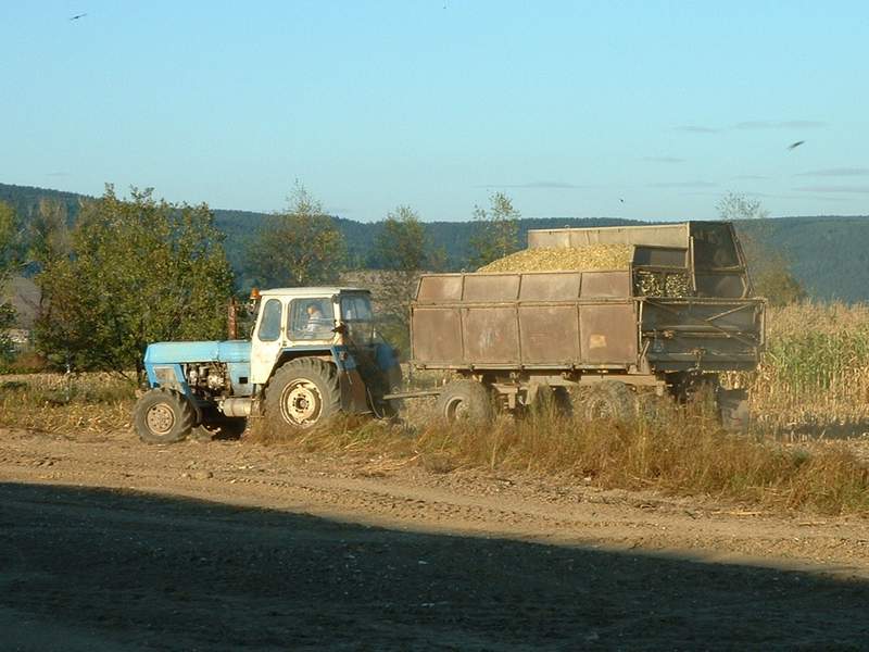 bilder/3_9_2003/zt_303_3.jpg