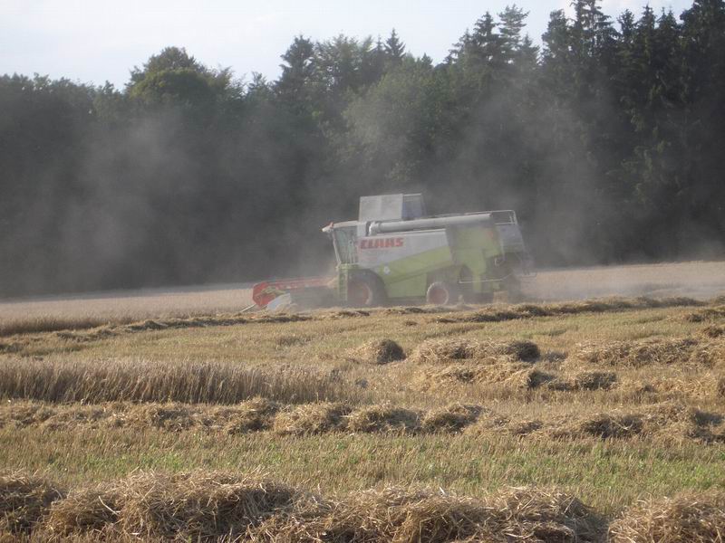 bilder/3_9_2004/lexion.jpg