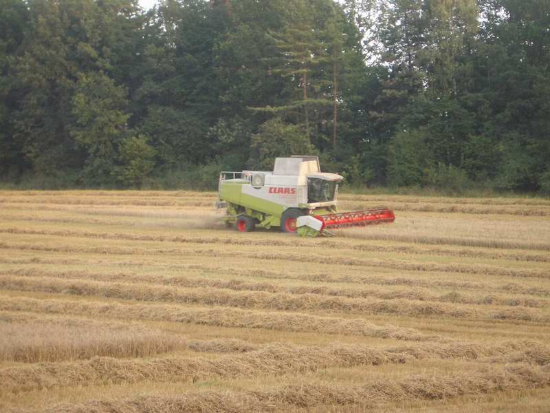 bilder/3_9_2004/lexion_12.jpg
