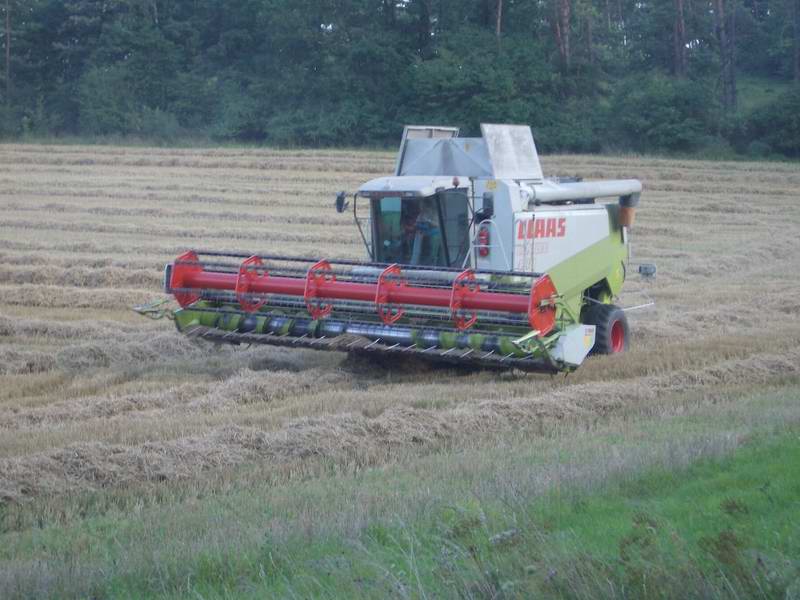 lexion_13.jpg