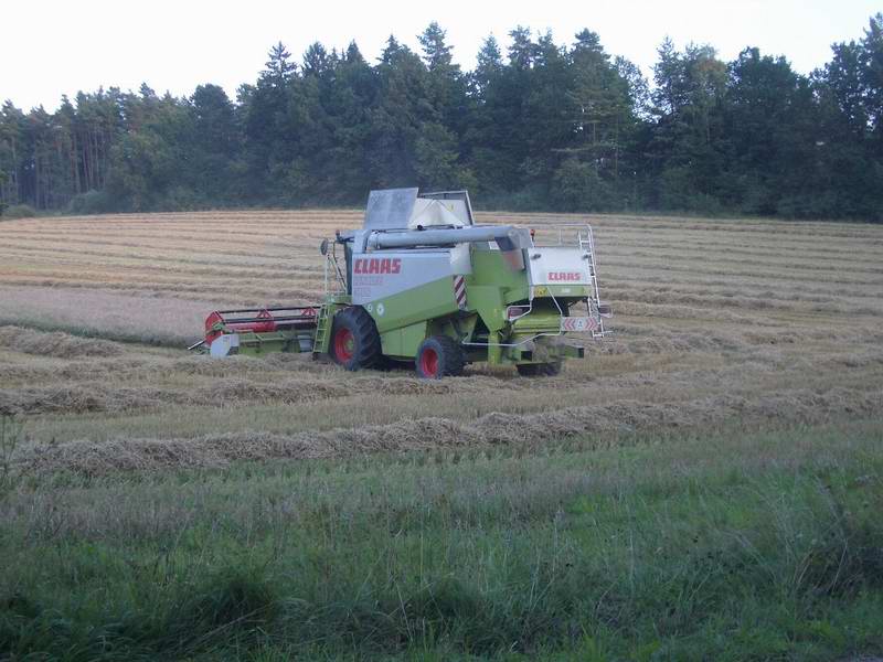 lexion_14.jpg
