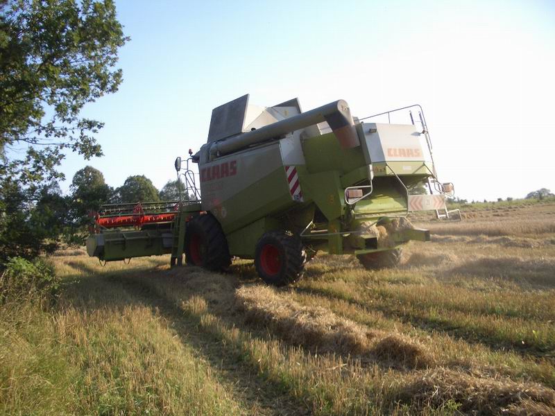 lexion_2.jpg