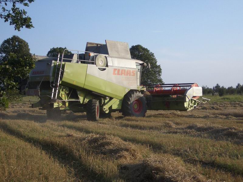 lexion_3.jpg