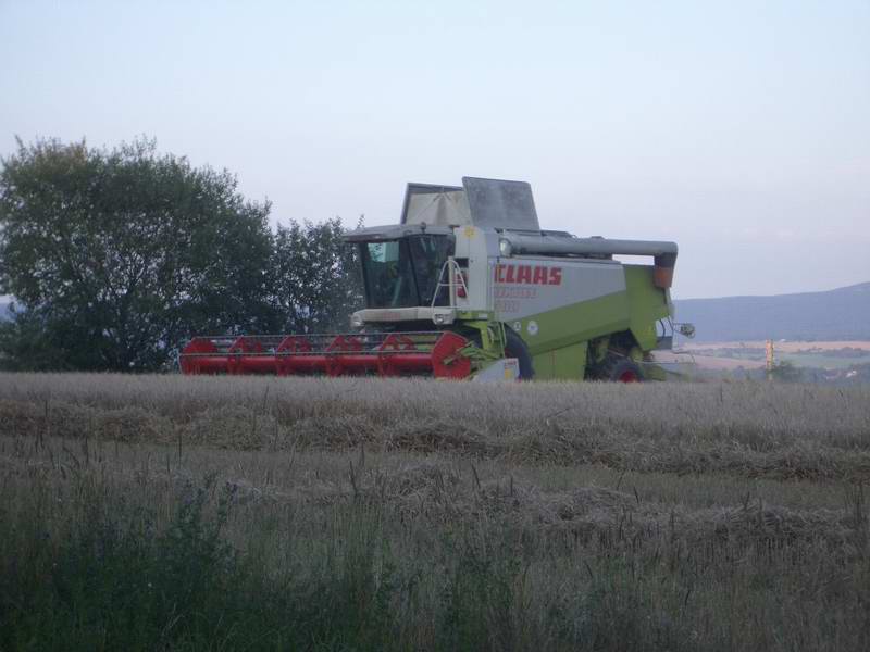 bilder/3_9_2004/lexion_5.jpg