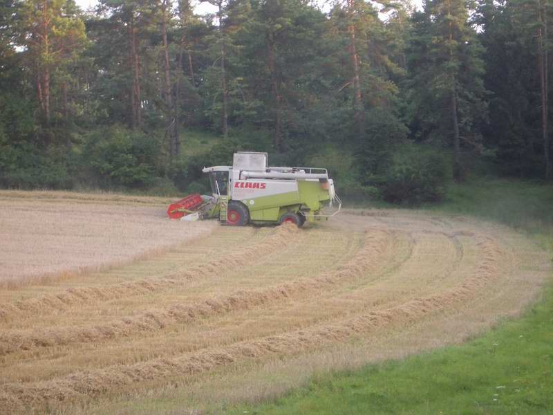 lexion_7.jpg