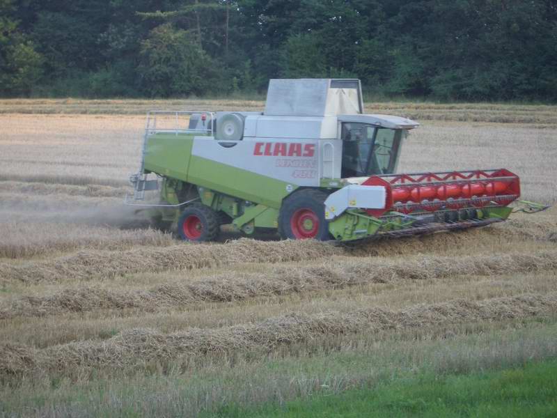 bilder/3_9_2004/lexion_8.jpg