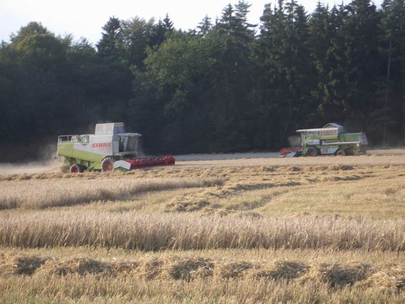 lexion_mega.jpg