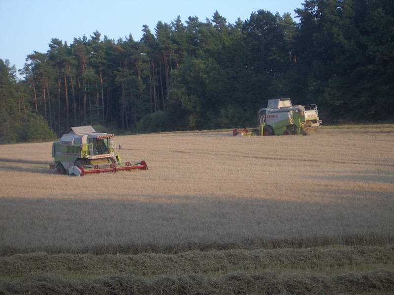 lexion_mega_5.jpg