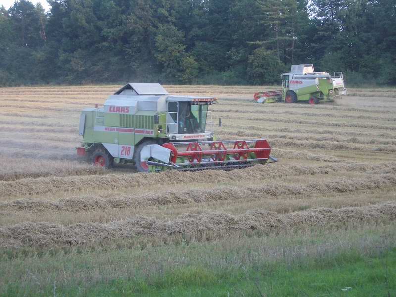 lexion_mega_7.jpg
