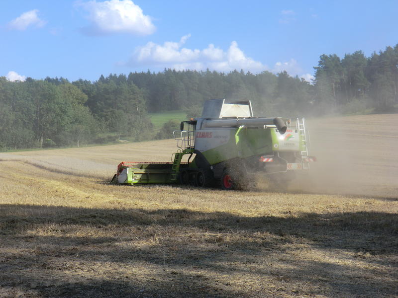 bilder/3_9_2011/CIMG4635.jpg