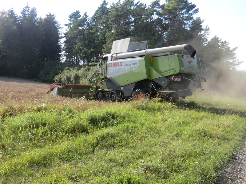bilder/3_9_2011/CIMG4645.jpg
