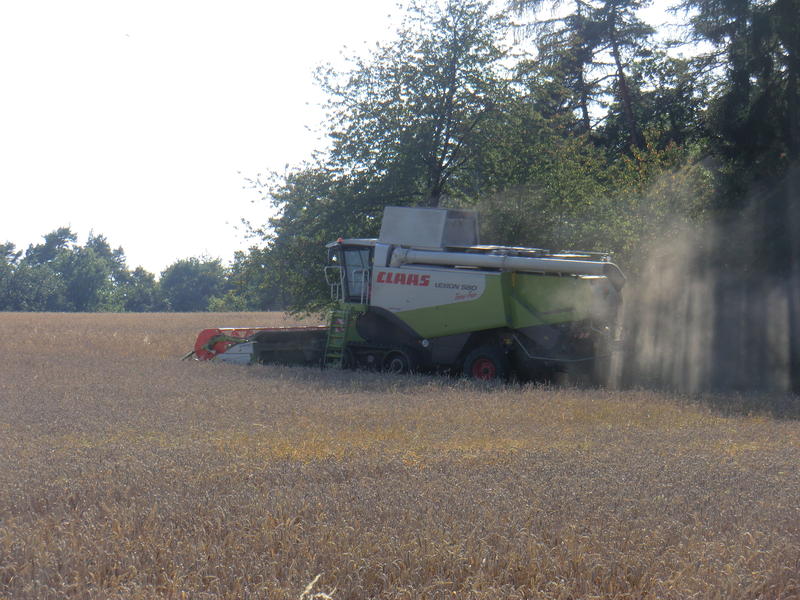 bilder/3_9_2011/CIMG4648.jpg