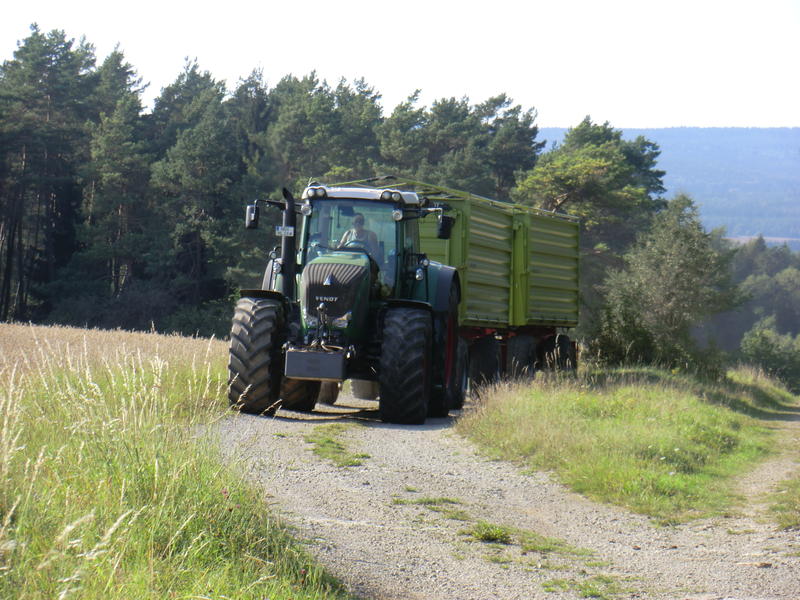 bilder/3_9_2011/CIMG4653.jpg