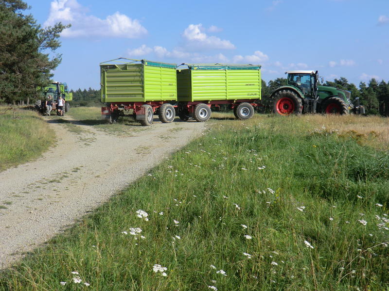 bilder/3_9_2011/CIMG4659.jpg