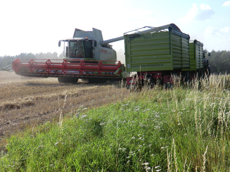 bilder/3_9_2011/CIMG4664.jpg