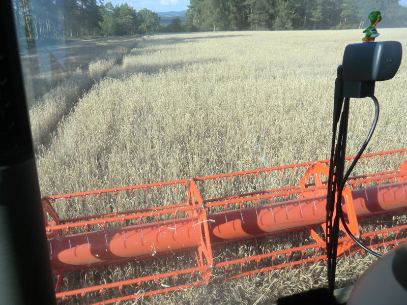 bilder/6_9_2005/xerion_14.jpg