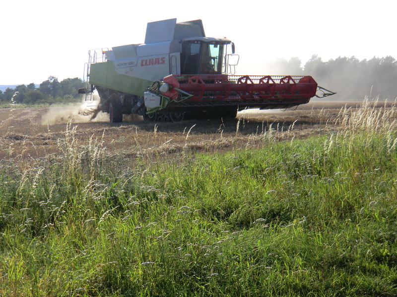 bilder/3_9_2011/CIMG4674.jpg