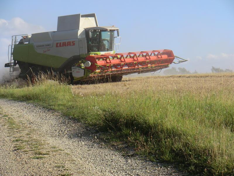 bilder/3_9_2011/CIMG4681.jpg