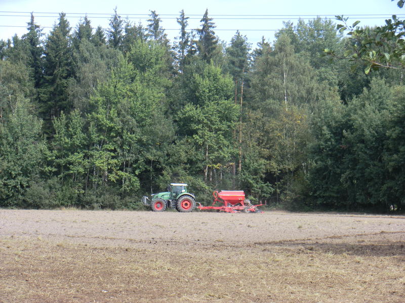 bilder/3_9_2011_2/CIMG4700.jpg