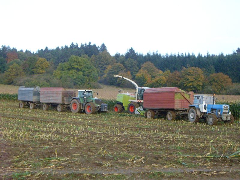 IMGP3237.jpg