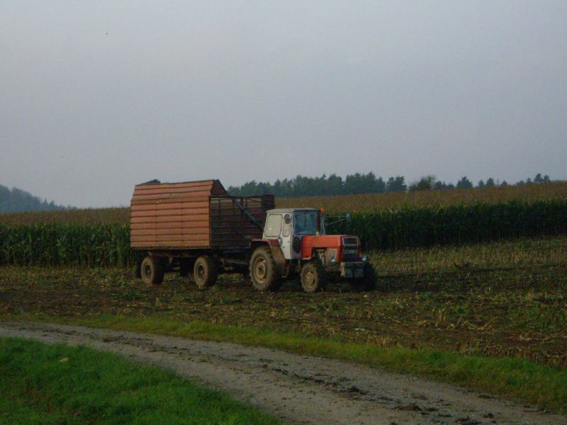 bilder/2022_11_04/DSC04420.jpg