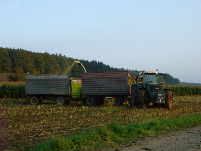 IMGP3247.jpg