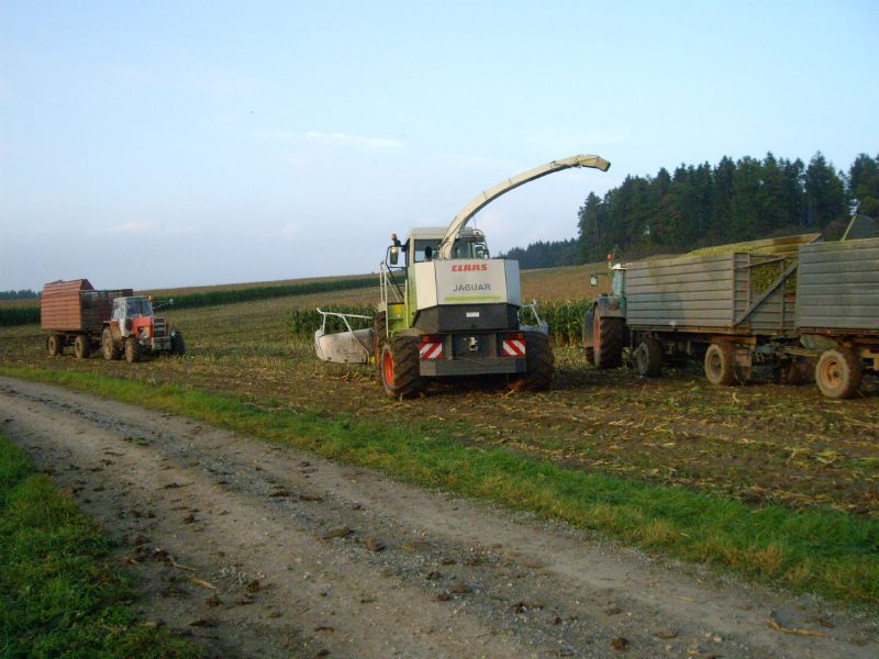 bilder/2_7_2013/CIMG8046.jpg